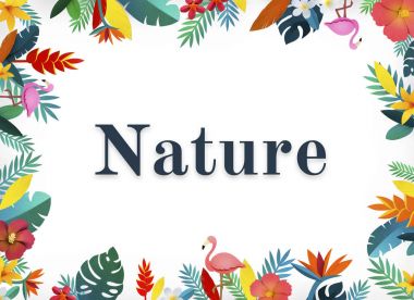 güzel çiçek çiçekler