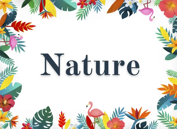 güzel çiçek çiçekler