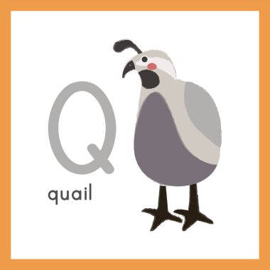 karikatür gri bıldırcın