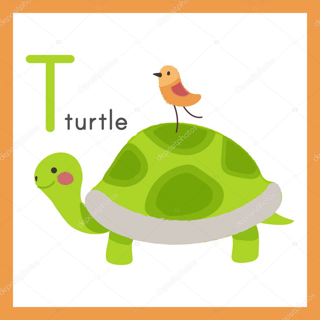 green cartoon turtle
