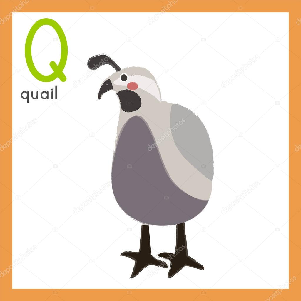 cartoon grey quail
