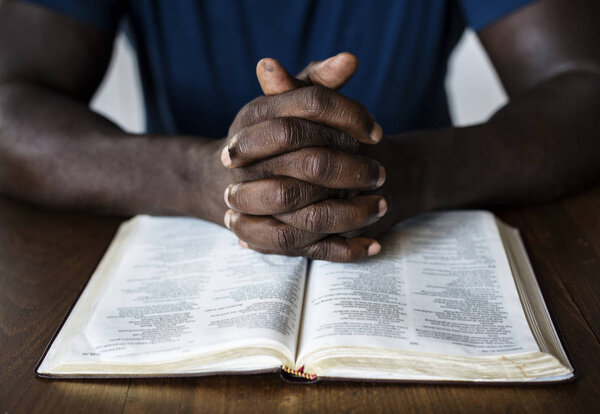 person reading Holy bible book