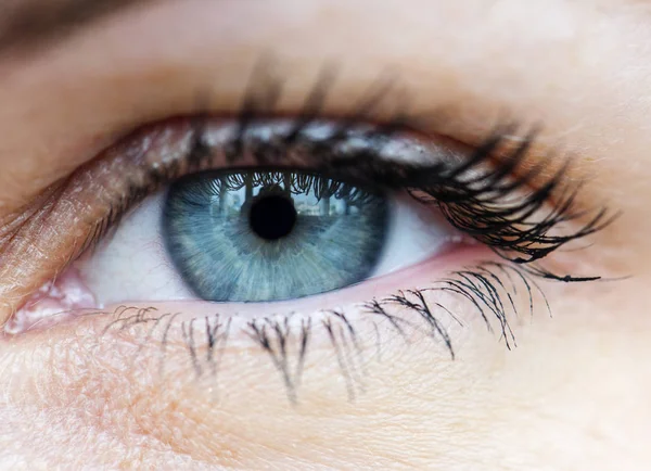 Μακροεντολή Closeup Ανθρώπινο Μάτι Μπλε Αρχικό Photoset — Φωτογραφία Αρχείου