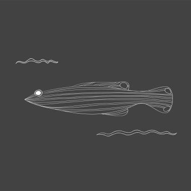 Çizim sualtı yaratıklar