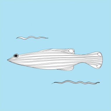 Çizim sualtı yaratıklar