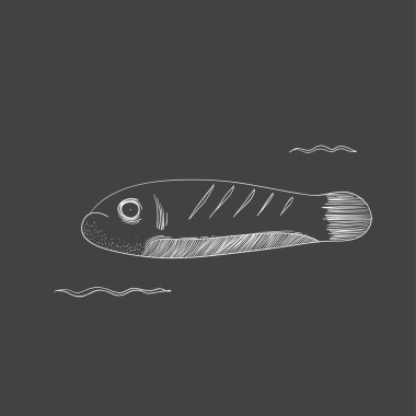 Çizim sualtı yaratıklar