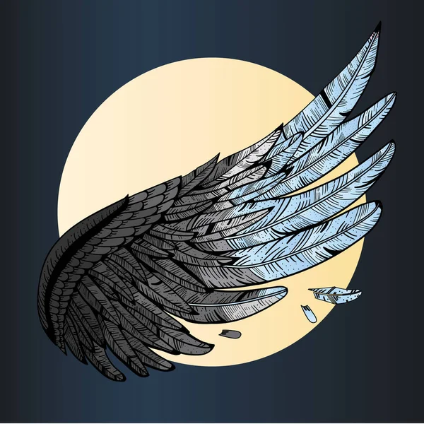 美しい翼の羽を持つ — ストックベクタ
