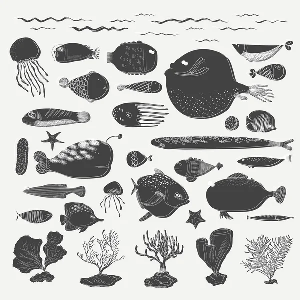 Desenho criaturas subaquáticas —  Vetores de Stock