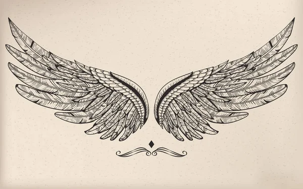美丽的翅膀和羽毛 — 图库矢量图片