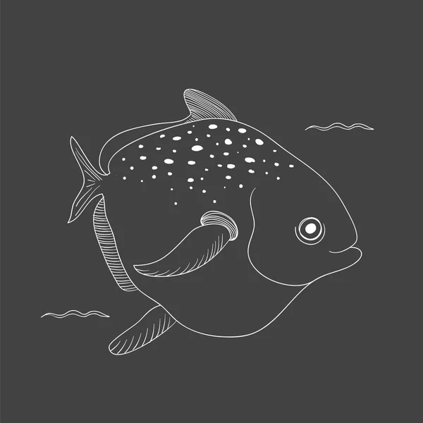 Desenho criaturas subaquáticas —  Vetores de Stock
