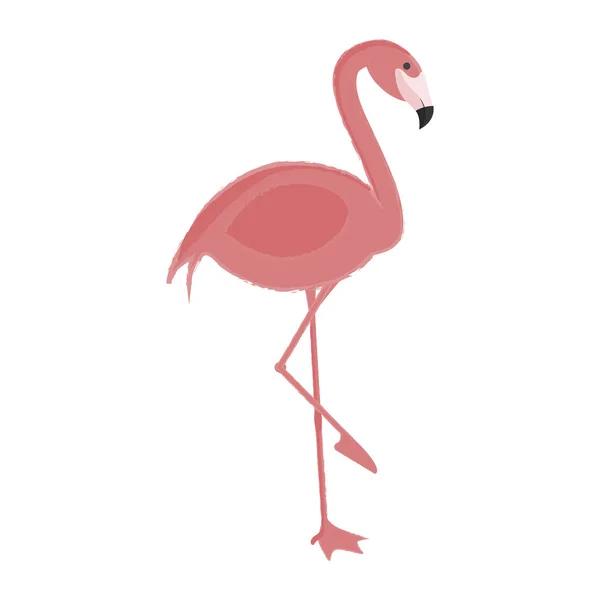 Egzotyczne flamingo płaskie ikona Cartoon — Wektor stockowy