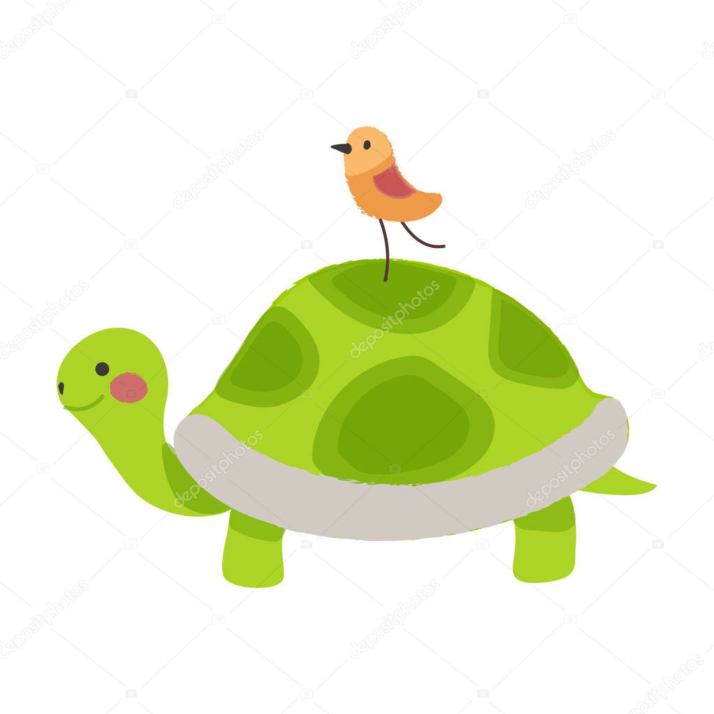 green cartoon turtle