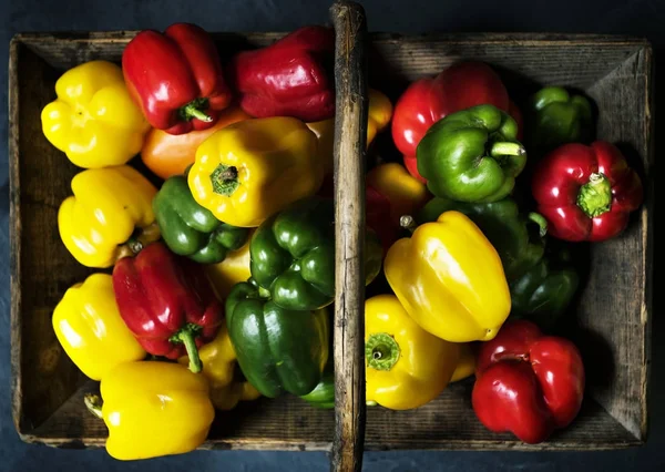 Colorful Healthy Peppers Vegetable — Stock Photo, Image