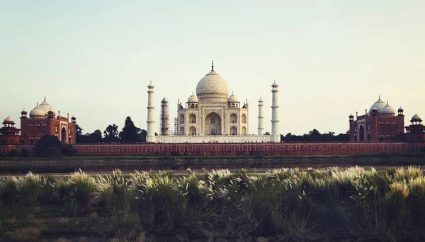 Índia taj mahal — Fotografia de Stock