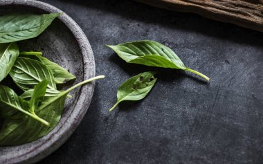 Asya herb, özgün photoset taze fesleğen yaprağı