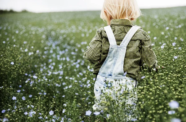 Niño en el campo de flores —  Fotos de Stock