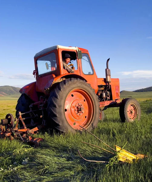 Mongol Agricultor Conduciendo Tractor Campo Fotoset Original —  Fotos de Stock