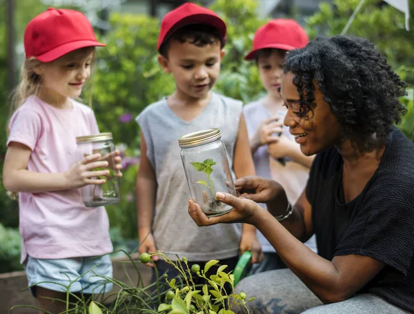 Kinder lernen ökologische Gartenarbeit — Stockfoto