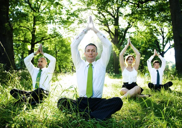 Mensen Uit Het Bedrijfsleven Doen Yoga Buitenshuis Origineel Photoset — Stockfoto