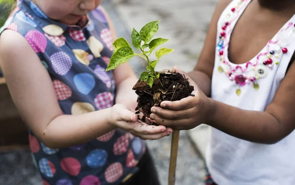 Pequeños chilldren plantación —  Fotos de Stock