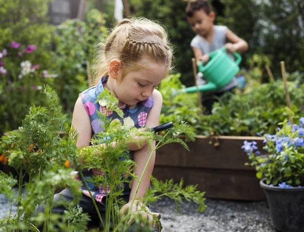 Barnen i trädgården med växter — Stockfoto
