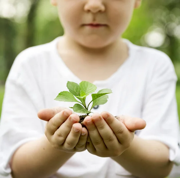 元の土壌および植物を保持している小さな男の子が写真植字 — ストック写真