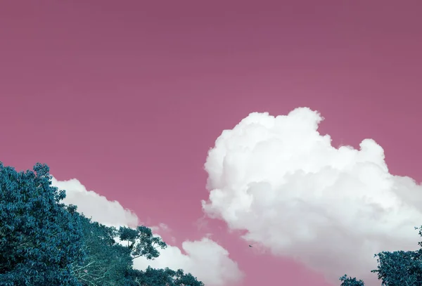 Negatieve Kleur Van Een Wolken Kaap Originele Photoset — Stockfoto