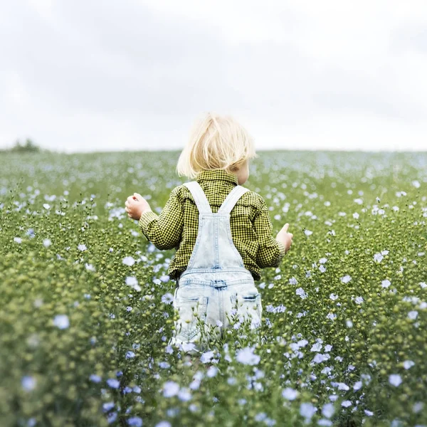 Kleiner Junge im Blumenfeld — Stockfoto