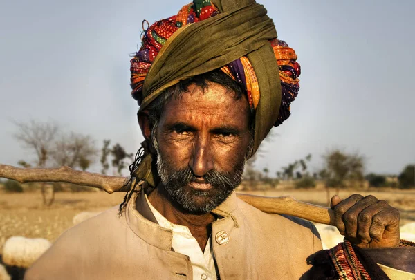 Корінні Індійського Людина Випас Овець Оригінал Фотосет — стокове фото