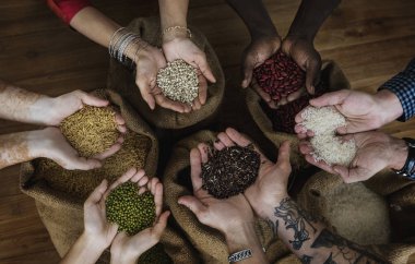 tohum çeşitleri holding eller