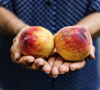 Taze şeftali, özgün photoset