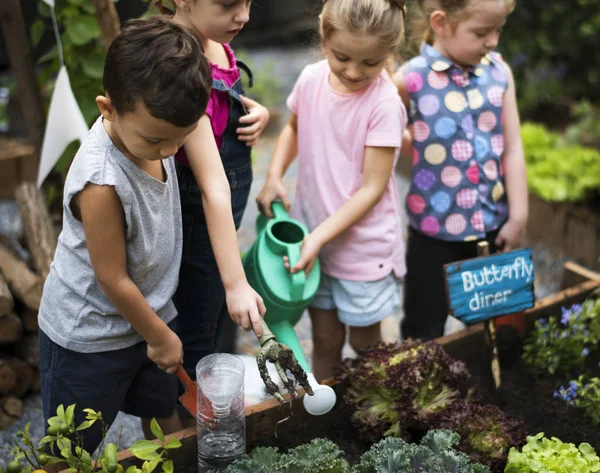 Barn lärande miljön på gården — Stockfoto