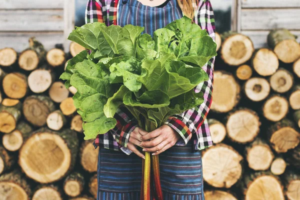 Kvinna som håller gröna växter — Stockfoto