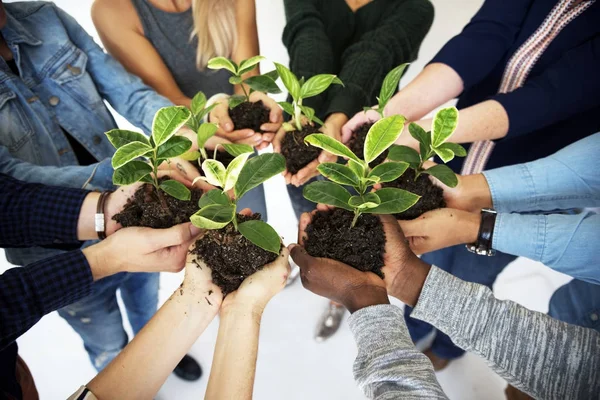 Gente Sosteniendo Plantas Las Manos Fotoset Original — Foto de Stock