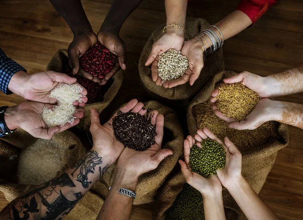 Ruce držící různé druhy semen — Stock fotografie