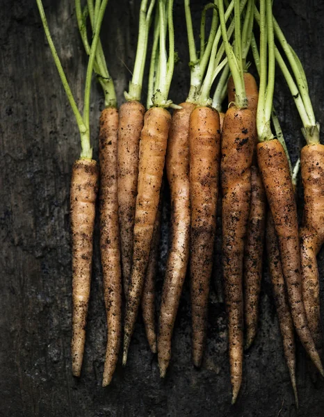 Детская Морковь Органические Свежие Фермы Оригинальный Фотосет — стоковое фото