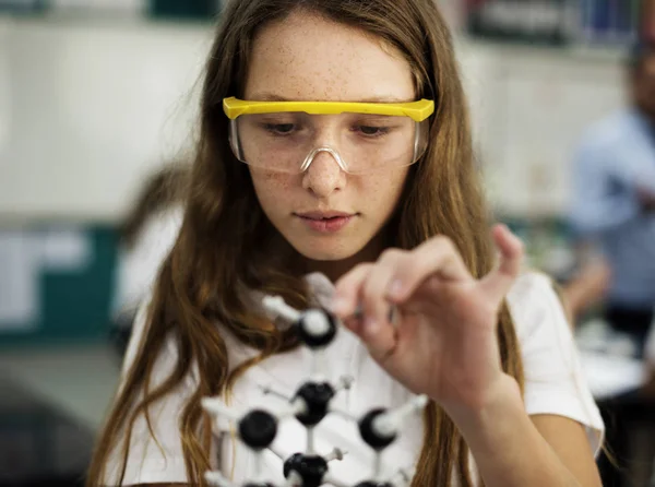 Menina Estudante Aprendendo Ciência Photoset Original Fotos De Bancos De Imagens