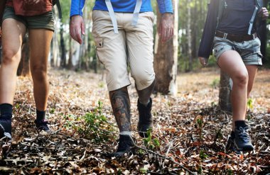 Yürüyüş yürüyüşçü orman, özgün photoset