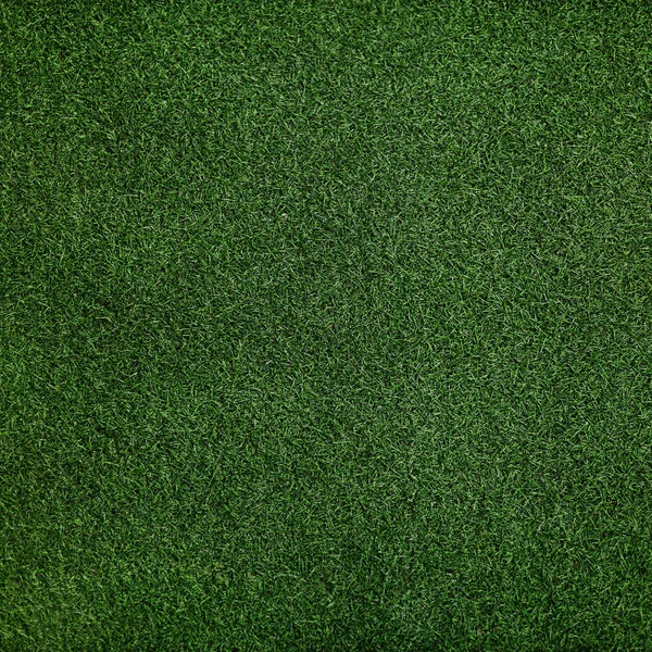 Green fake grass background — Stock Photo, Image