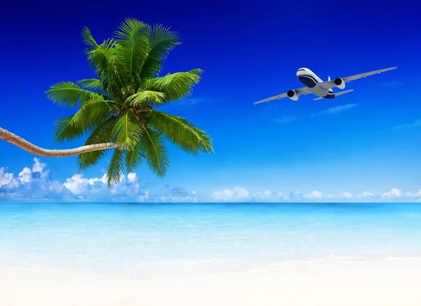Pesawat Dan Pantai Langit Biru Dengan Pohon Palem Foto Asli — Stok Foto