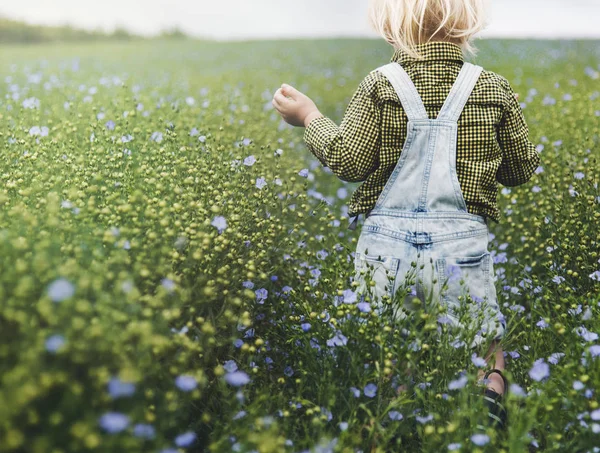 Kleiner Junge im Blumenfeld — Stockfoto