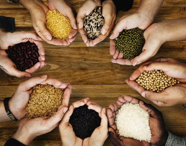 Tahıl özgün onların elinde tutan insanların photoset