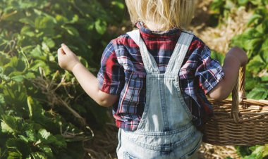 Çiçek alandaki küçük çocuk