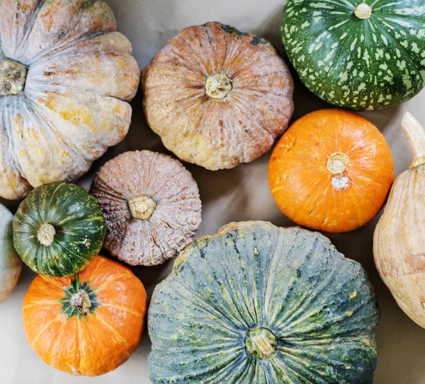 Hava çeşitli taze kabak, özgün görünümünü photoset