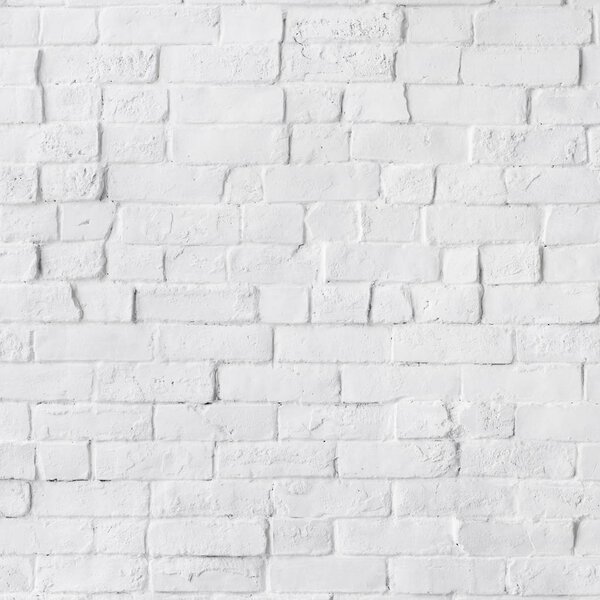 White Painted Beautiful Brick Wall