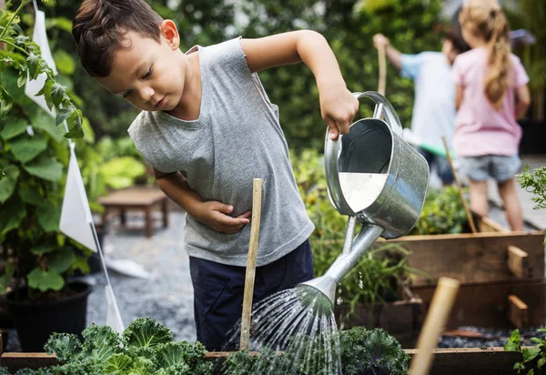 Grup Açık Havada Bahçe Öğrenme Anaokulu Çocuk Orijinal Photoset — Stok fotoğraf