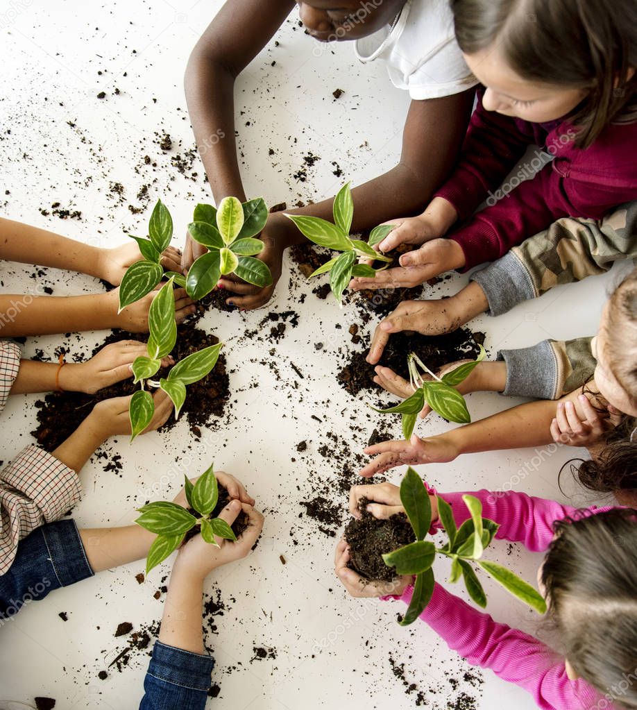 A group of primary schoolers planting a tree together, original photoset