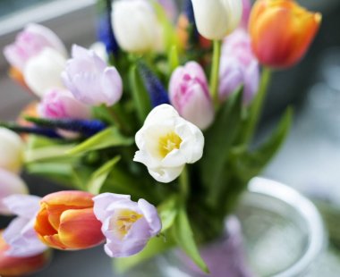 güzel Lale çiçek vazo, orijinal içinde photoset