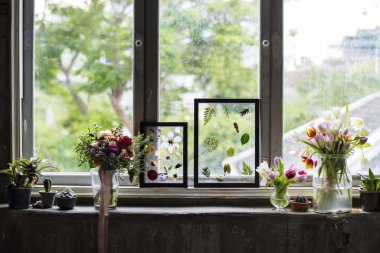 çiçekler odası, özgün penceresinde karşı photoset