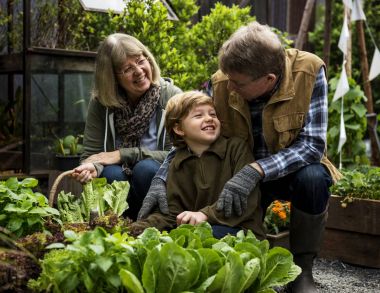 Aile arka bahçe sebze toplama, orijinal photoset